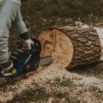 Gartenbäume schneiden